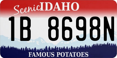 ID license plate 1B8698N
