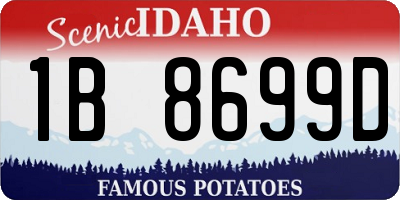 ID license plate 1B8699D