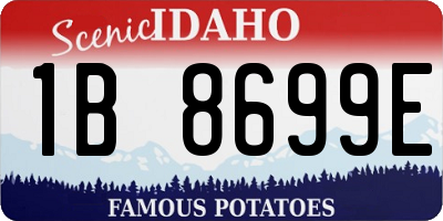 ID license plate 1B8699E