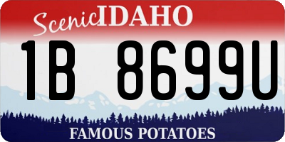 ID license plate 1B8699U