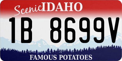 ID license plate 1B8699V