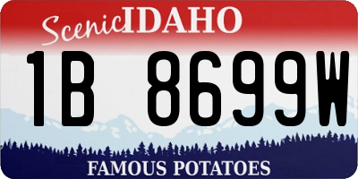 ID license plate 1B8699W