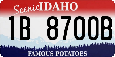 ID license plate 1B8700B