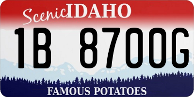 ID license plate 1B8700G