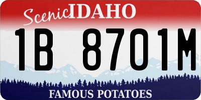 ID license plate 1B8701M