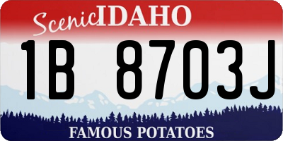 ID license plate 1B8703J