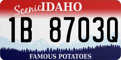 ID license plate 1B8703Q
