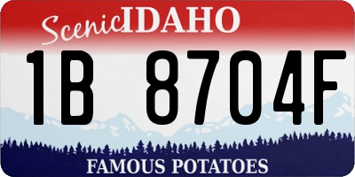 ID license plate 1B8704F