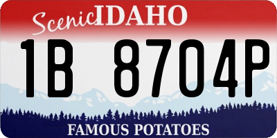 ID license plate 1B8704P