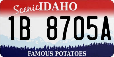 ID license plate 1B8705A