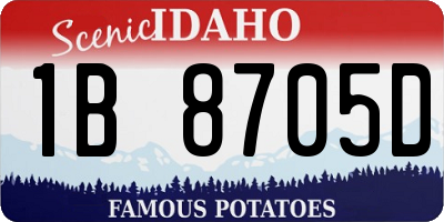 ID license plate 1B8705D