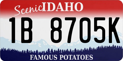 ID license plate 1B8705K