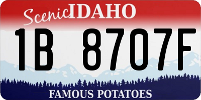 ID license plate 1B8707F