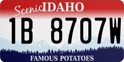 ID license plate 1B8707W