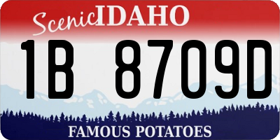 ID license plate 1B8709D