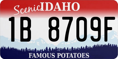 ID license plate 1B8709F