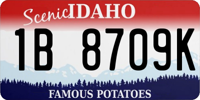 ID license plate 1B8709K