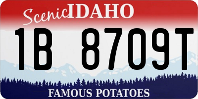 ID license plate 1B8709T