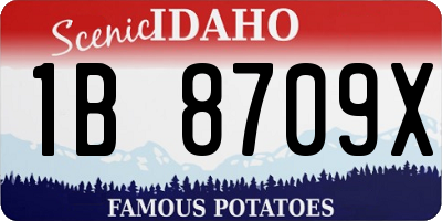 ID license plate 1B8709X