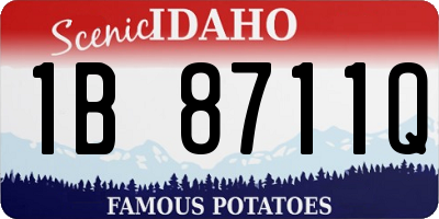 ID license plate 1B8711Q