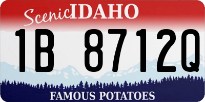 ID license plate 1B8712Q