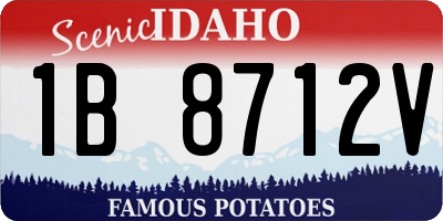 ID license plate 1B8712V
