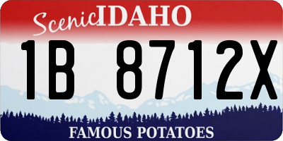 ID license plate 1B8712X