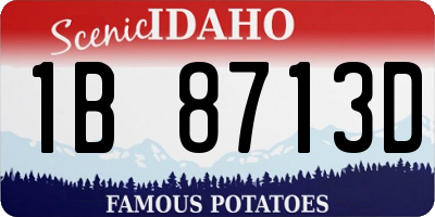 ID license plate 1B8713D