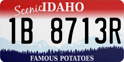 ID license plate 1B8713R