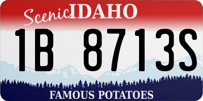 ID license plate 1B8713S