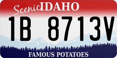 ID license plate 1B8713V