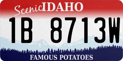 ID license plate 1B8713W