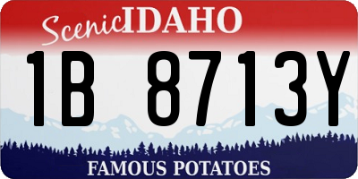 ID license plate 1B8713Y