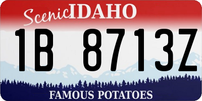 ID license plate 1B8713Z