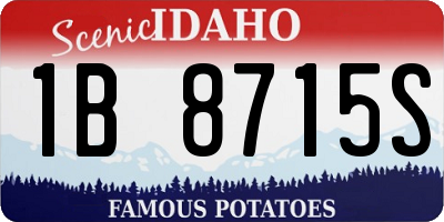 ID license plate 1B8715S