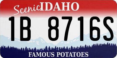 ID license plate 1B8716S