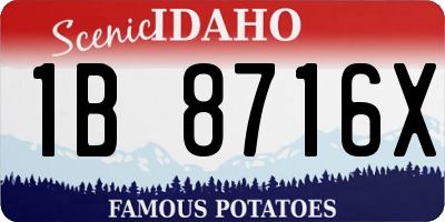 ID license plate 1B8716X