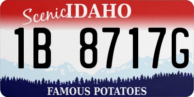 ID license plate 1B8717G