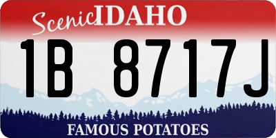 ID license plate 1B8717J