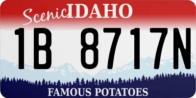 ID license plate 1B8717N