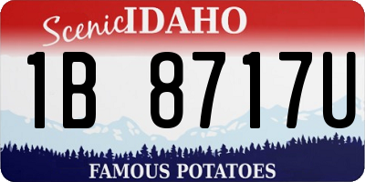 ID license plate 1B8717U