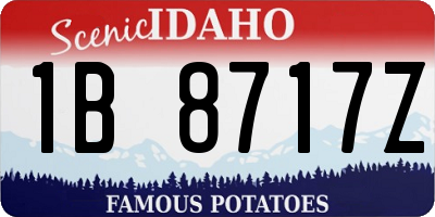 ID license plate 1B8717Z