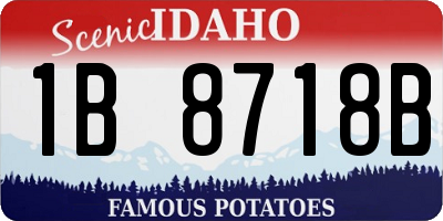 ID license plate 1B8718B