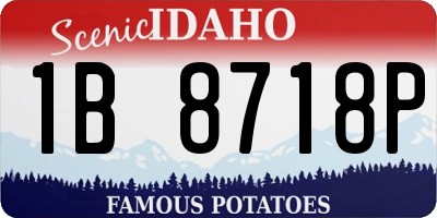 ID license plate 1B8718P