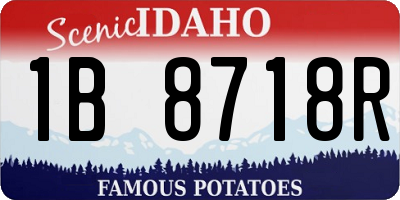 ID license plate 1B8718R
