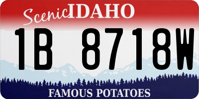 ID license plate 1B8718W