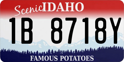 ID license plate 1B8718Y