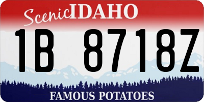 ID license plate 1B8718Z