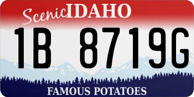 ID license plate 1B8719G