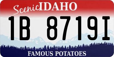 ID license plate 1B8719I